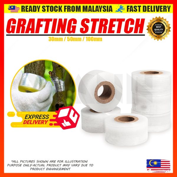 Plastic Grafting Tape Film Plant Rooting Fruit Tree Warp Stretchable Self-Adhesive Plastik Tut Cantuman Pokok