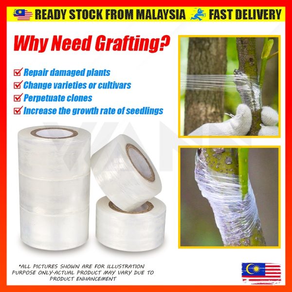 Plastic Grafting Tape Film Plant Rooting Fruit Tree Warp Stretchable Self-Adhesive Plastik Tut Cantuman Pokok - Image 2